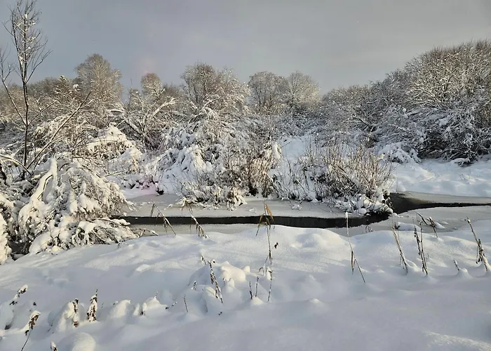 Joesuu Saunamaja Holiday home *